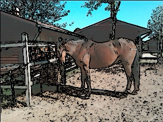 Bértartás homokos, önitatós karámokban