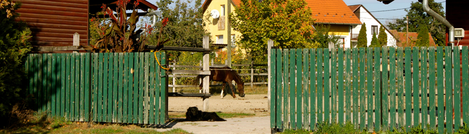 <B>Lovaskocsikázás 2015</B> a Szentendrei-szigeten!Várunk téged is <B>lovastábor</B>ainkba!