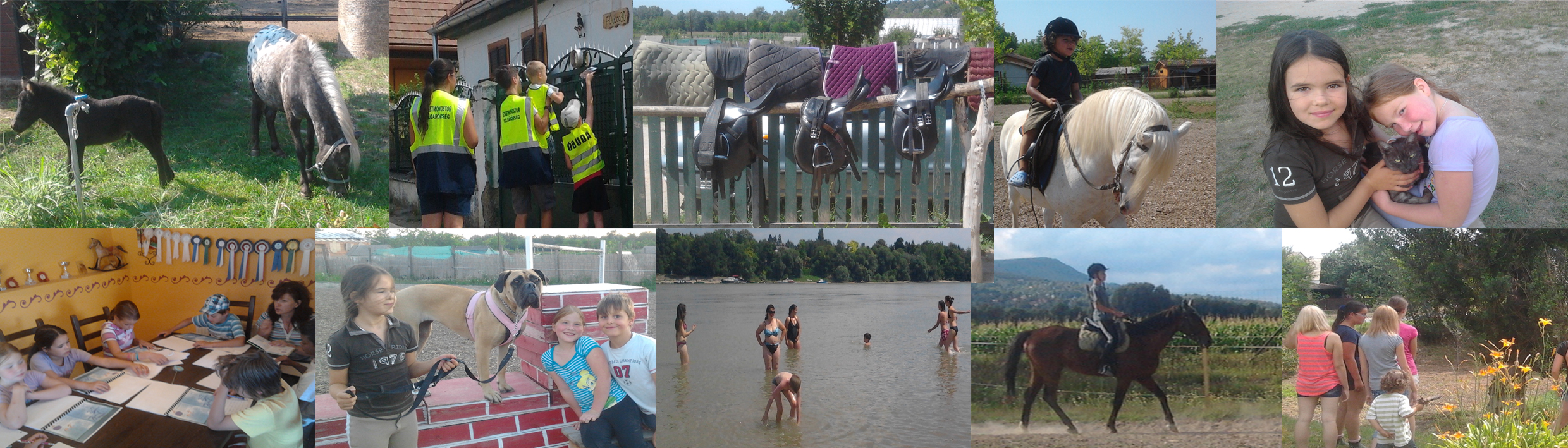 Lovastáborok:lovaglás,pónilovaglás,lóápolás,strandolás,kutyaiskola,elméleti lovasoktatás,szerszámápolás,istállómunka...Várunk téged is lovastáborainkba!